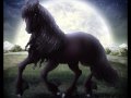 Black_Beauty_by_dolphy.jpg